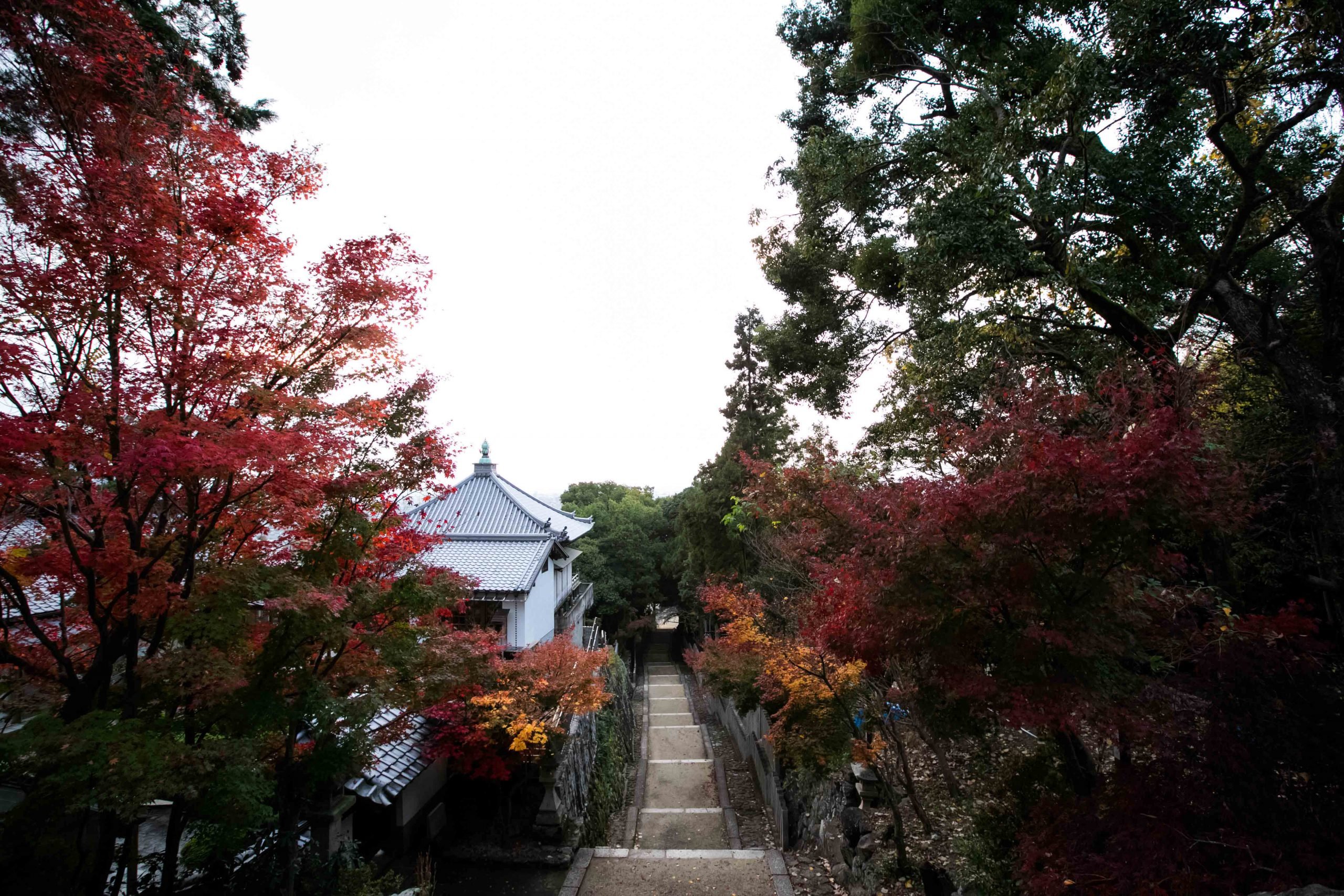 ⛩️ 은지 신사 (온지진자) 이미지 8